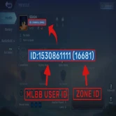 Player ID help